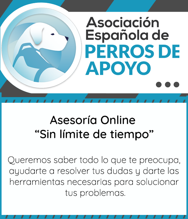 asesoria_online_2