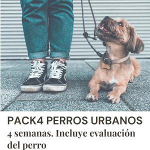 Perros urbanos