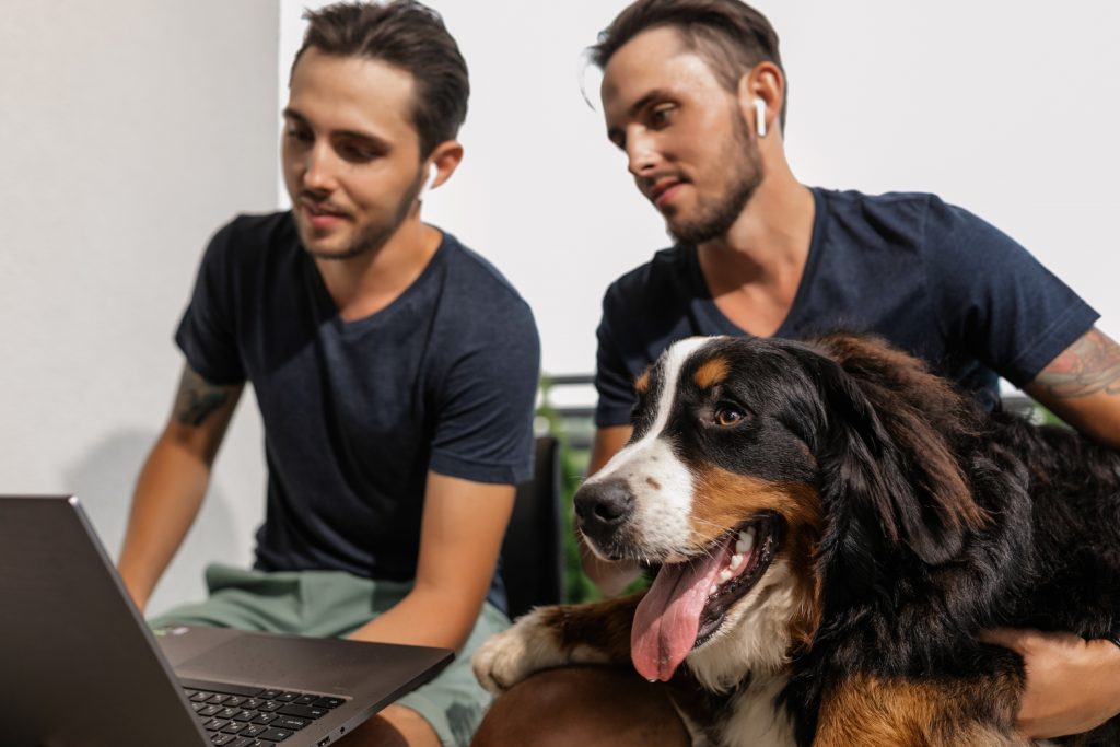Adiestramiento canino online
