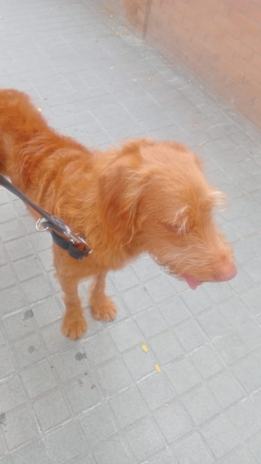 Tutora de Max